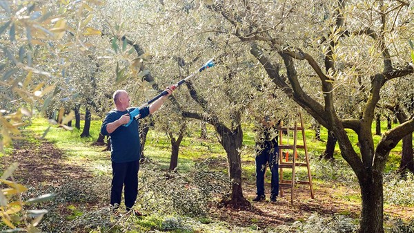 Al Torcio Prerada Maslinovog Ulja 014