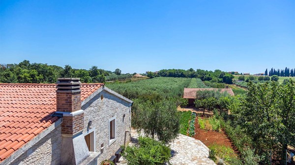 Al Torcio Prerada Maslinovog Ulja 018